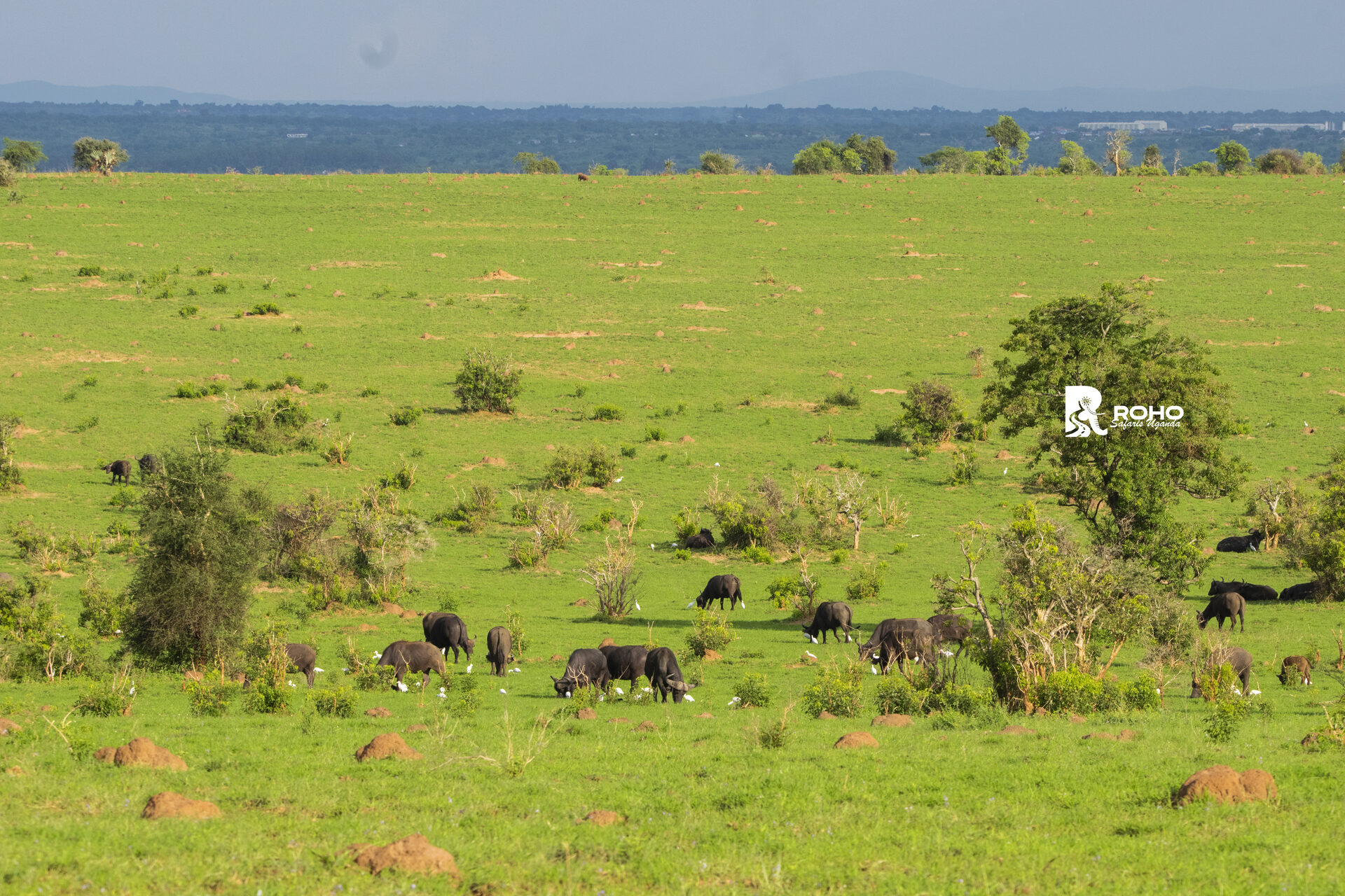 Kidepo Valley National Park