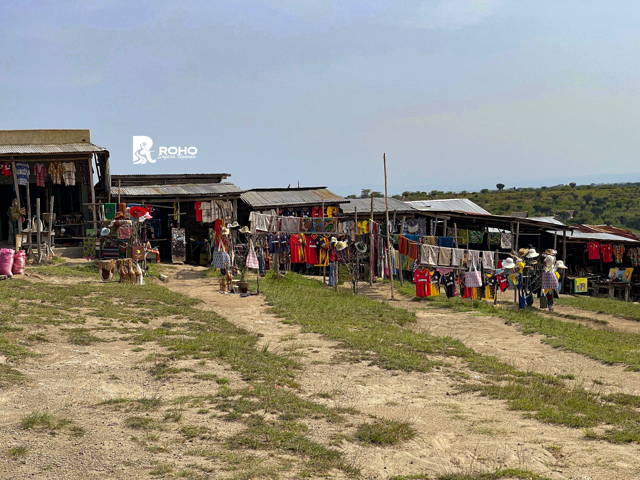 12-Day Ultimate Uganda Safari: Gorillas & Wildlife