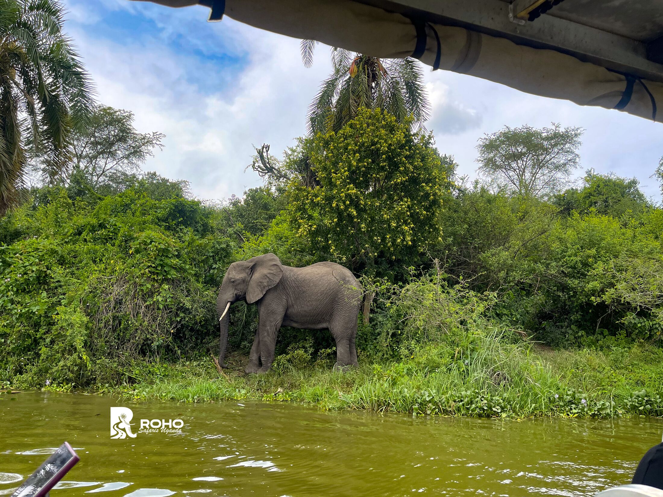 15-Day Discover Uganda: Gorillas, Chimpanzees & Big Fives