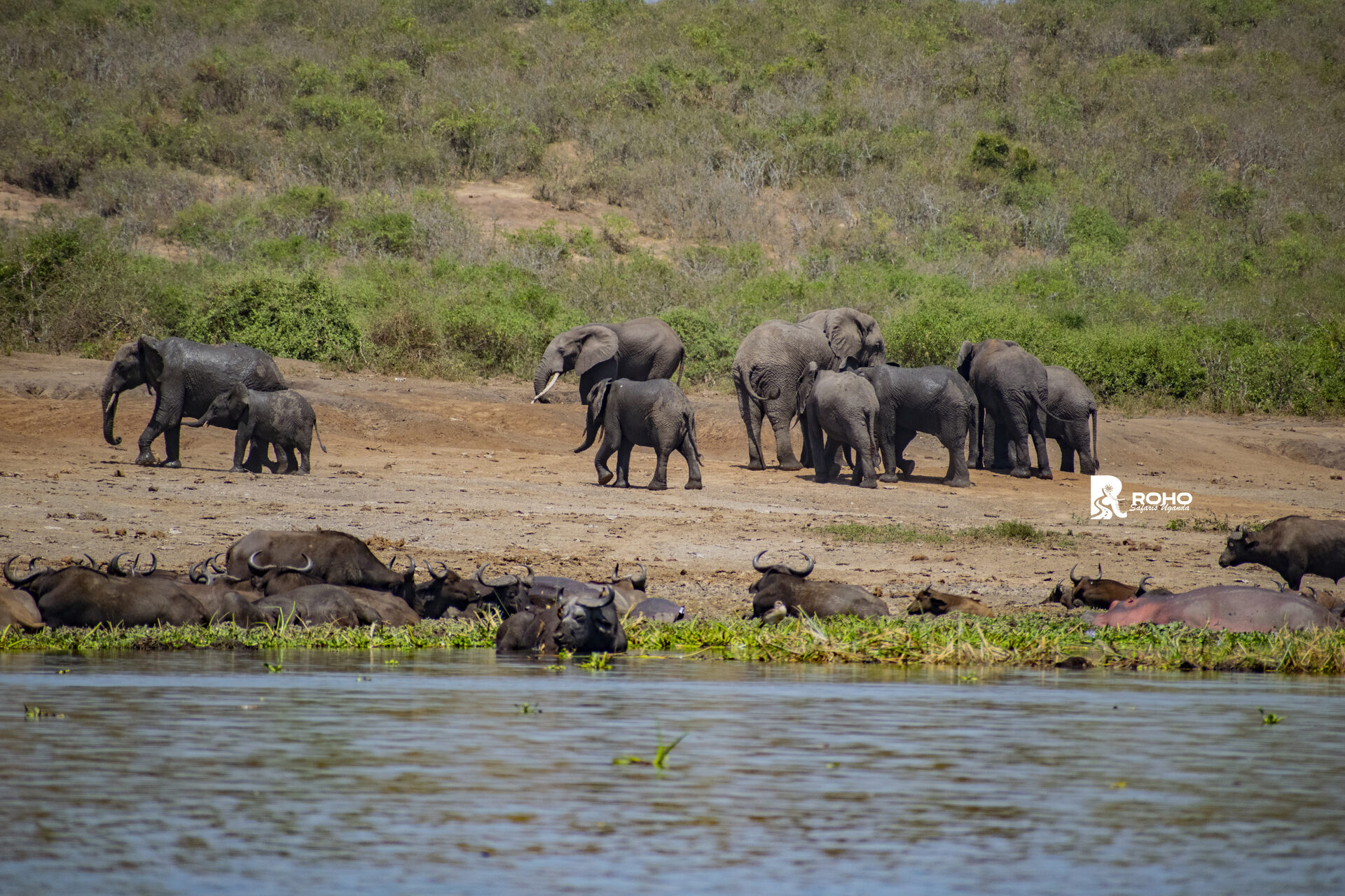 15-Day Discover Uganda: Gorillas, Chimpanzees & Big Fives