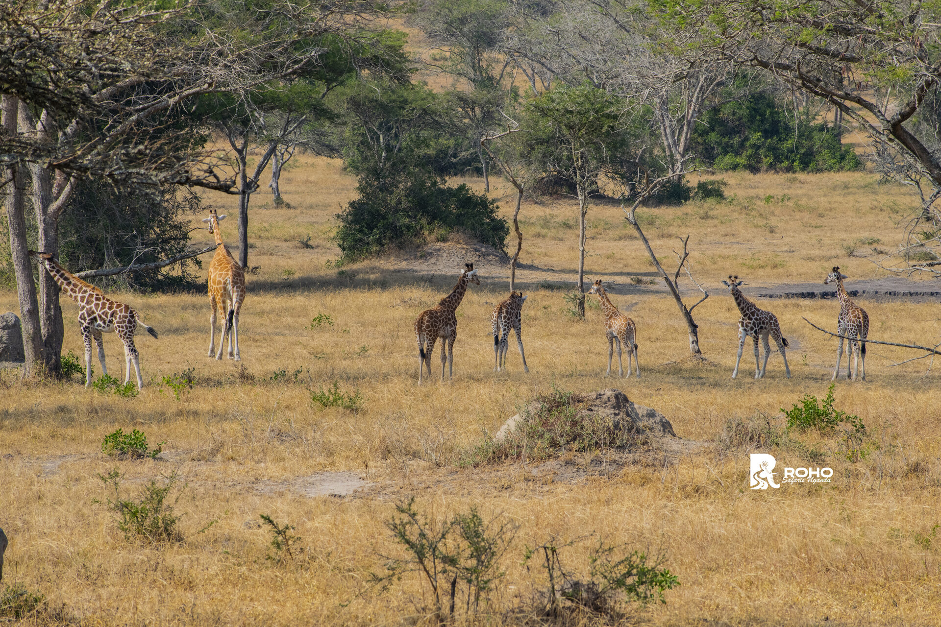 Akagera National Park