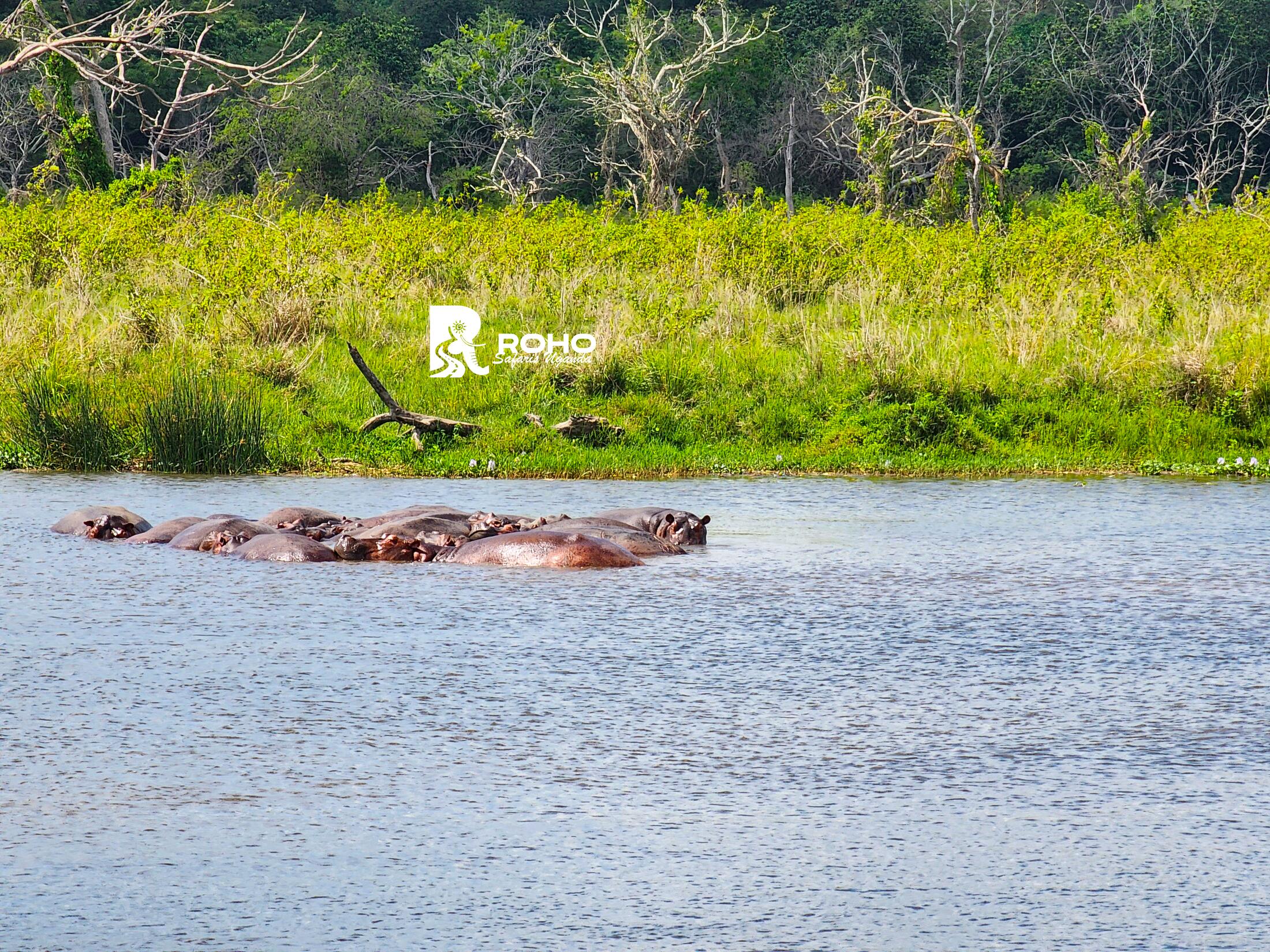 5-Day Uganda Adventure Safari – Murchison Falls & the Nile