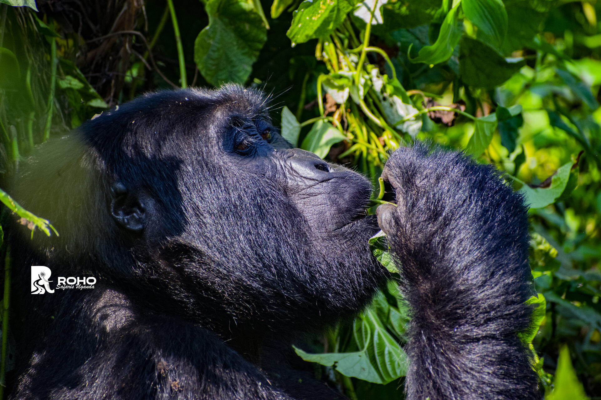 Explore Uganda 