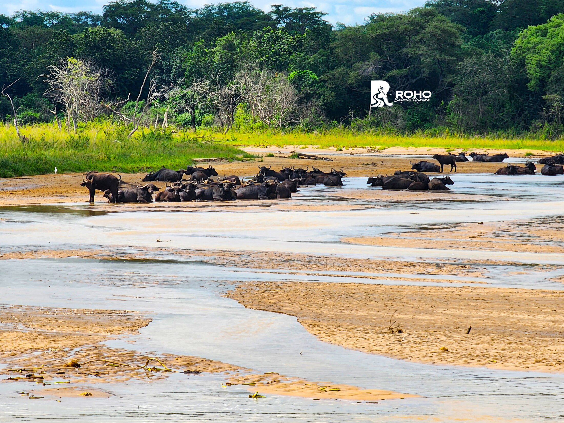 Travel Across Uganda & Rwanda
