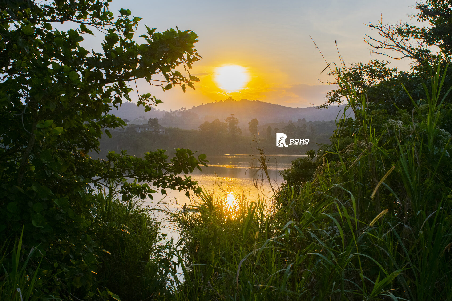 15-Day Discover Uganda: Gorillas, Chimpanzees & Big Fives