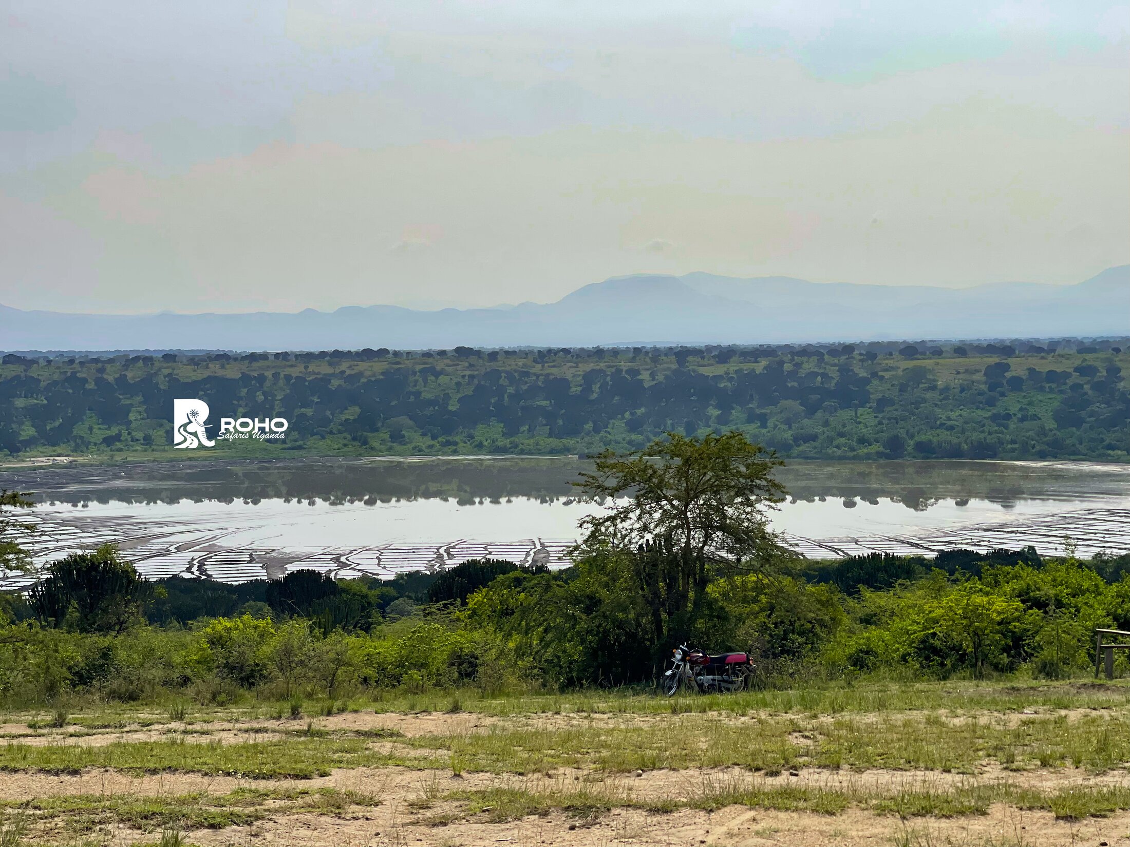 15-Day Discover Uganda: Gorillas, Chimpanzees & Big Fives