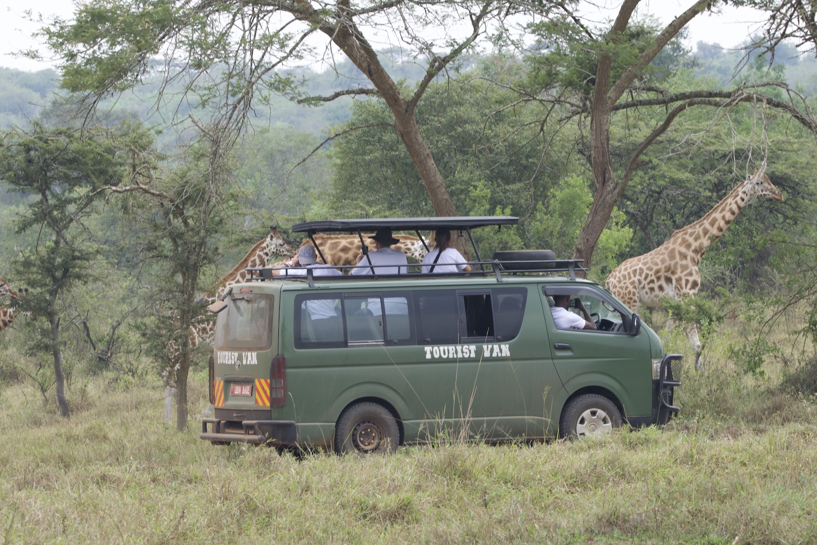 4 Day Gorilla & Golden Monkeys in Rwanda