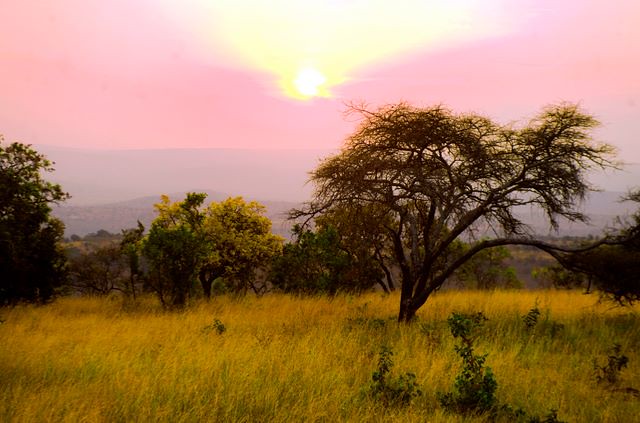 Akagera National Park